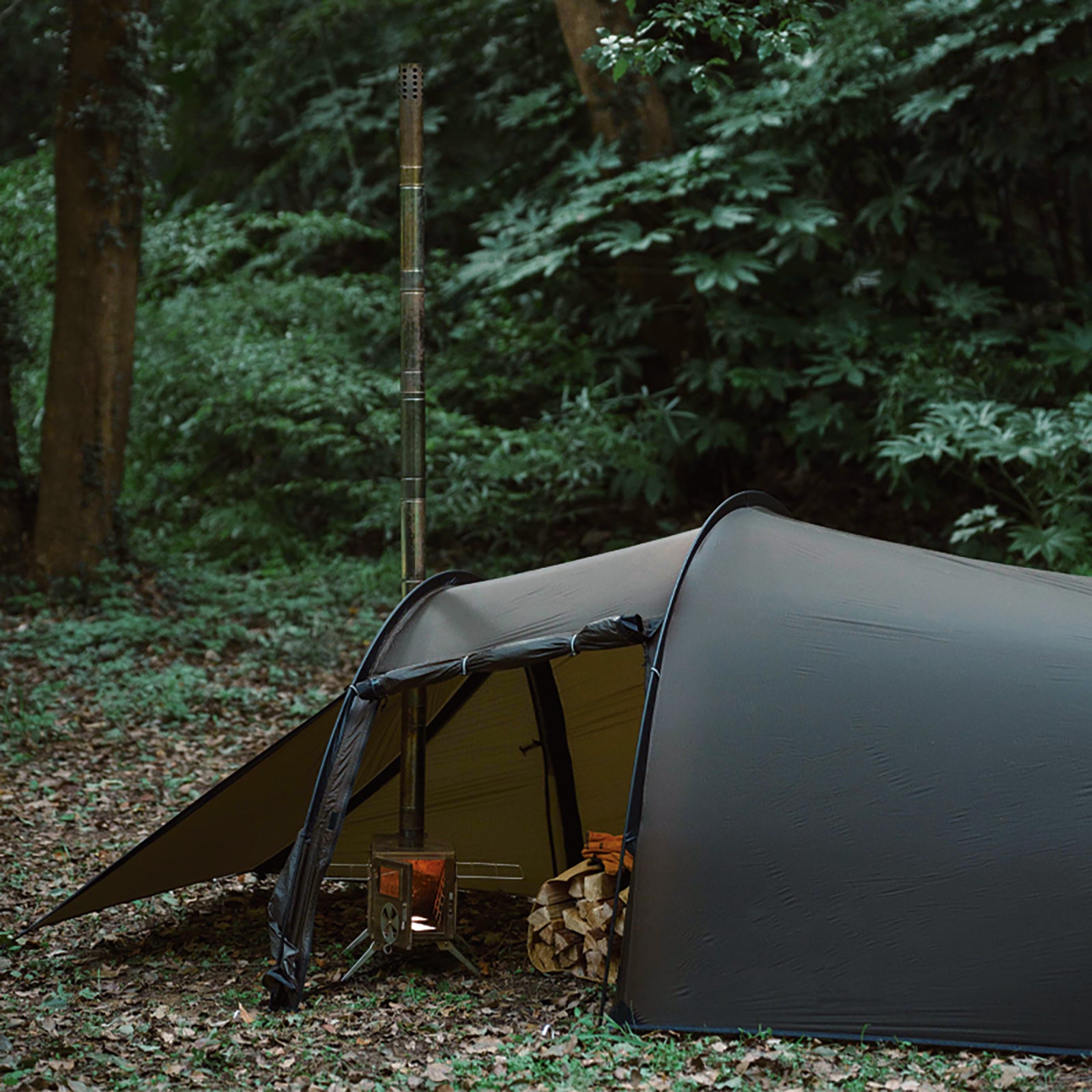 tent and tunnel Tunnel Tent 1-2 Person Double Layers Waterproof Backpacking Tents with – Dandelionshell